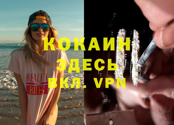 бошки Бронницы