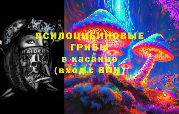 бошки Бронницы