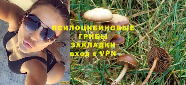 бошки Бронницы